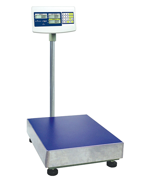 Platform Scale 300kg - R2 495